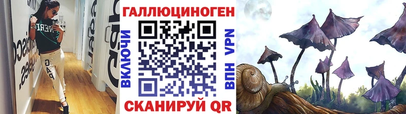 Псилоцибиновые грибы Psilocybine cubensis  наркошоп  Заозёрный 